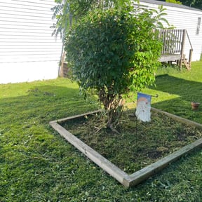 Bush Trimming by Denson's Total Lawn Care reviewed on May 9, 2022