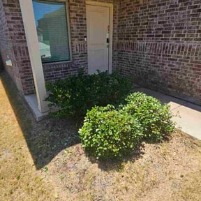 Weeding by NMH Renovations&landscaping LLC reviewed on May 12, 2025