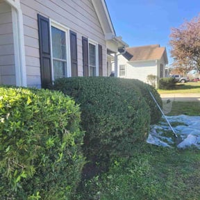 Bush Trimming by The Landscape Watch reviewed on April 1, 2022