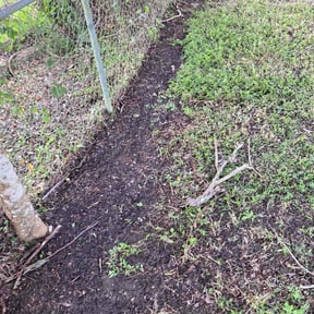Leaf Removal by Richard's Lawn Care reviewed on May 5, 2025