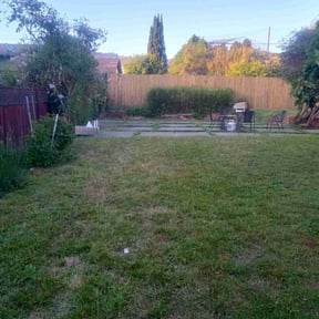 Flower Bed Weeding by Tikitiki Garden Service reviewed on December 31, 2024