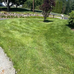 Cleanups by Landscape & Mowing reviewed on July 30, 2025