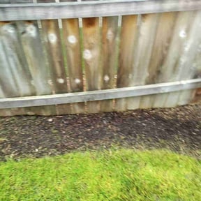 Cleanups by Rickys lawn care  reviewed on October 7, 2022