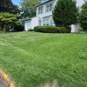 Bush Trimming by Parker Landscape & Maintenance reviewed on April 18, 2022