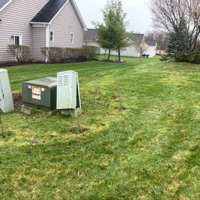 Bush Trimming by Clean Cut Land Management reviewed on June 13, 2022