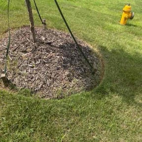 Landscaping by C.A.N. Lawn Services LLC reviewed on June 13, 2025