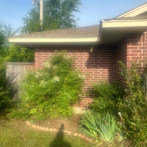 Flower Bed Weeding by Triple Diamond Landscaping reviewed on June 13, 2024