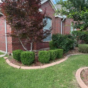 Bush Trimming by One Tuff Mama Roofing and Landscaping reviewed on May 18, 2022