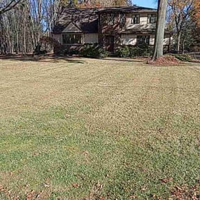 Leaf Removal by Epic Lawn Care reviewed on October 17, 2024