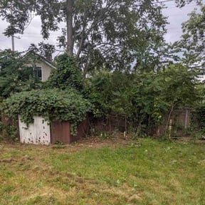 Cleanups by Devon steed lawn care reviewed on June 17, 2025