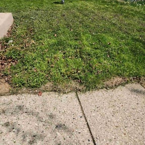 Flower Bed Weeding by The Ascension llc reviewed on June 28, 2022