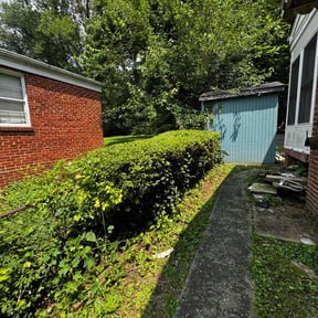 Bush Trimming by Wilson Leon Landscaping reviewed on June 20, 2025