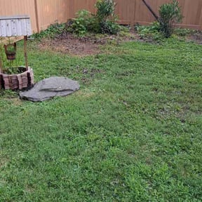 Cleanups by Jays lawn care reviewed on June 30, 2022