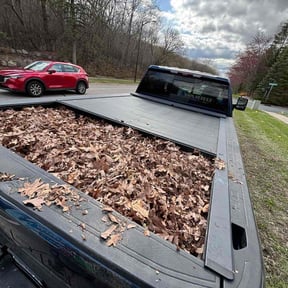 Leaf Removal by Lawncare reviewed on June 30, 2025