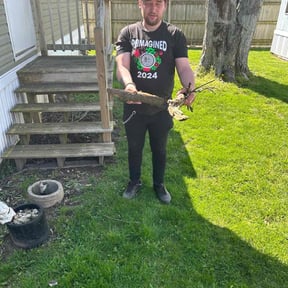 Leaf Removal by Babcock Enterprises LLC reviewed on June 24, 2022