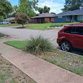 Flower Bed Weeding by Alexito Landscaping reviewed on April 14, 2025