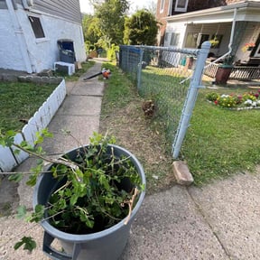 Cleanups by 4 You Landscaping LLC reviewed on December 8, 2024