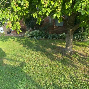 Flower Bed Weeding by Country Cuts reviewed on August 19, 2020