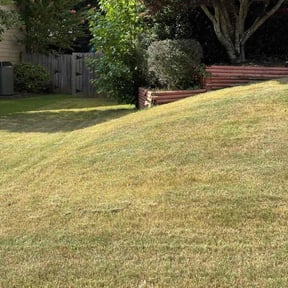Bush Trimming by A&S Lawn Care reviewed on November 5, 2023