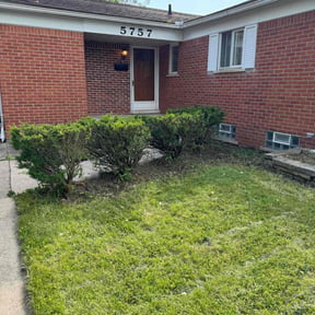 Bush Trimming by Pro Green Landscape L L C reviewed on July 11, 2025