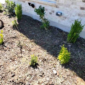 Flower Bed Weeding by Yards Done Daily reviewed on November 2, 2022