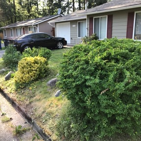 Bush Trimming by Aqua Lawn reviewed on July 30, 2021