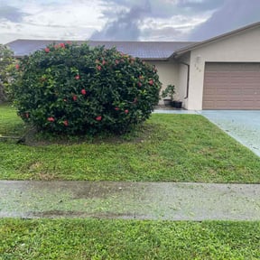 Bush Trimming by Affordable Landscaping reviewed on January 11, 2025