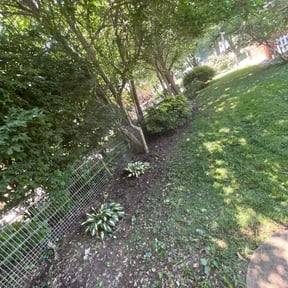 Flower Bed Weeding by Carolina Customs LLC reviewed on April 25, 2025