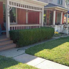 Bush Trimming by Lion's Heart Lawn Care reviewed on March 18, 2025
