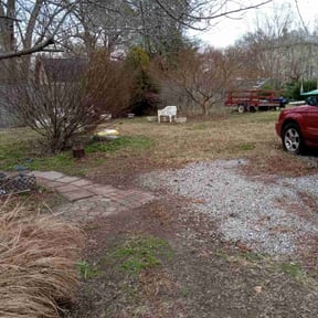 Leaf Removal by Green Dream Lawn reviewed on July 13, 2022