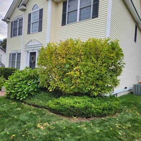 Bush Trimming by Scott Bensing Lawn Care reviewed on May 24, 2022