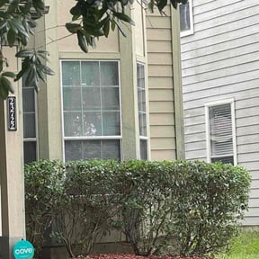 Bush Trimming by KL MOWING SERVICE reviewed on May 8, 2025