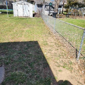 Cleanups by Tim's Discount Lawn reviewed on June 12, 2025