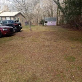 Leaf Removal by Morel Lawn & tree service reviewed on July 24, 2022