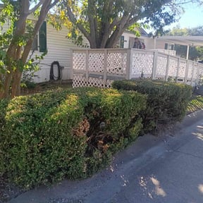 Bush Trimming by Valencia Landscaping reviewed on August 17, 2021
