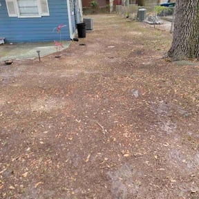 Leaf Removal by Waters Landscaping reviewed on July 25, 2025