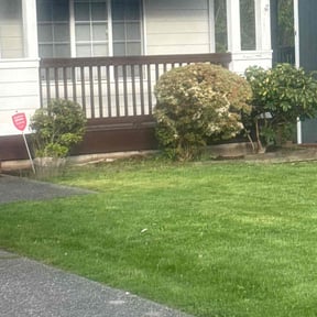 Bush Trimming by Getyourlawncut.com reviewed on July 13, 2022