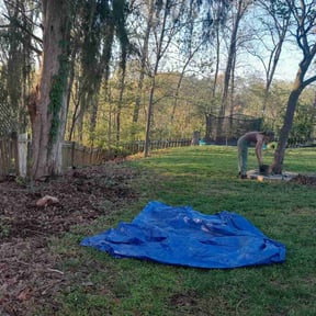 Cleanups by Surwillo Lawn & Landscaping reviewed on September 17, 2024