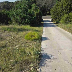 Bush Trimming by Gary Evans Lawn and Tree Service reviewed on November 29, 2022
