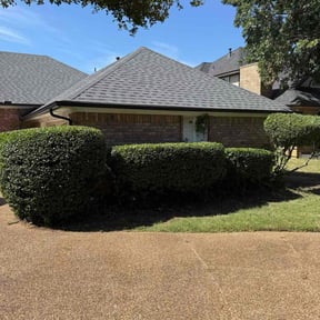 Bush Trimming by Dee's lawn care reviewed on June 30, 2025