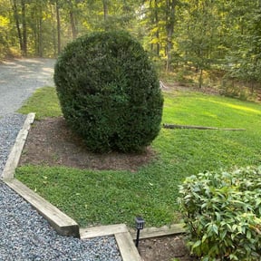 Bush Trimming by Supreme Home Services reviewed on December 13, 2024