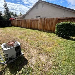 Cleanups by Metroscapes Lamdscaping Services reviewed on November 1, 2021