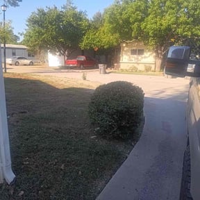 Bush Trimming by Trey Johnson landscaping reviewed on July 13, 2021