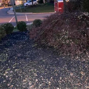 Leaf Removal by C&R Services reviewed on July 11, 2022