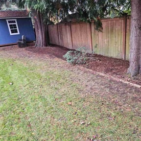 Leaf Removal by Tropilawn Landscaping reviewed on May 13, 2022