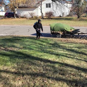 Leaf Removal by 100% Landcare reviewed on March 28, 2025