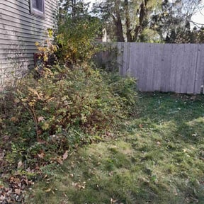 Bush Trimming by Affordable Property Maintenance and Landscaping reviewed on May 21, 2025