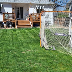 Leaf Removal by Phillips lawncare reviewed on September 27, 2021