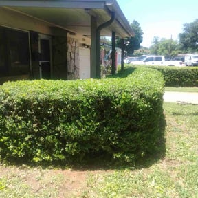 Bush Trimming by Chasing Acres Lawn Care reviewed on June 10, 2022