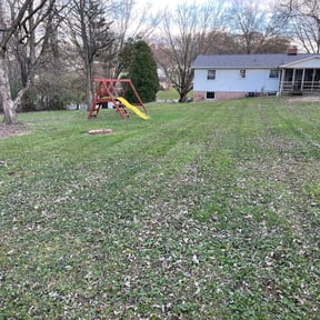 Mulching by Bryson property services reviewed on May 14, 2022